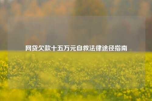 网贷欠款十五万元自救法律途径指南