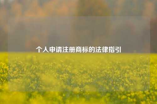 个人申请注册商标的法律指引