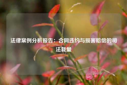 法律案例分析报告:合同违约与损害赔偿的司法裁量