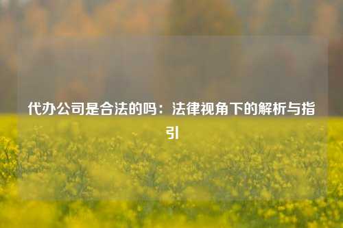 代办公司是合法的吗：法律视角下的解析与指引