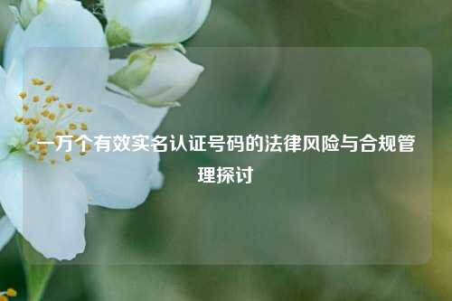 一万个有效实名认证号码的法律风险与合规管理探讨