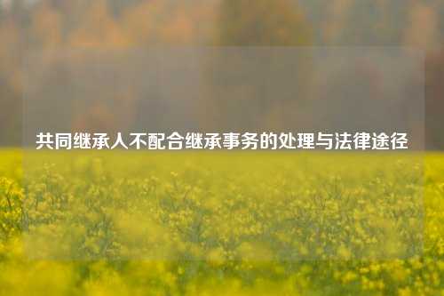 共同继承人不配合继承事务的处理与法律途径