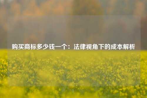 购买商标多少钱一个：法律视角下的成本解析