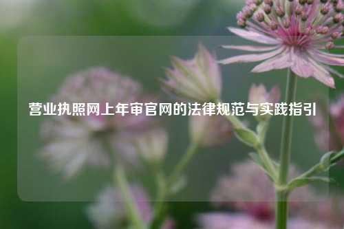营业执照网上年审官网的法律规范与实践指引