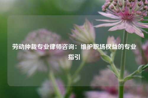 劳动仲裁专业律师咨询：维护职场权益的专业指引