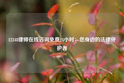 12348律师在线咨询免费24小时:您身边的法律守护者