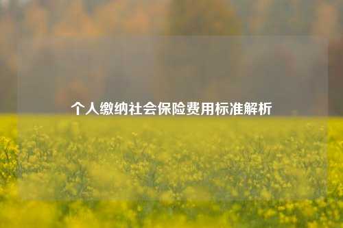 个人缴纳社会保险费用标准解析