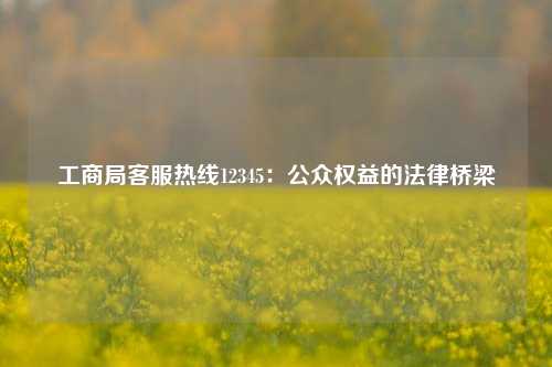 工商局客服热线12345：公众权益的法律桥梁