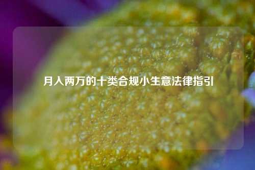 月入两万的十类合规小生意法律指引