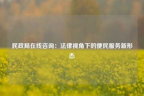 民政局在线咨询：法律视角下的便民服务新形态
