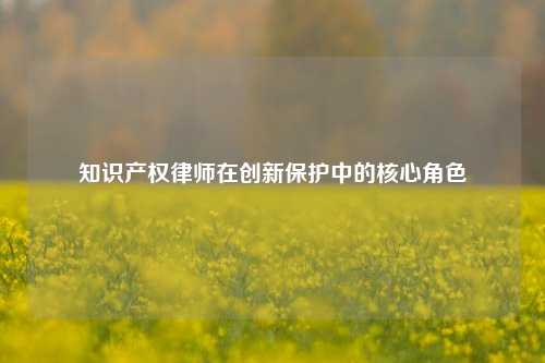 知识产权律师在创新保护中的核心角色