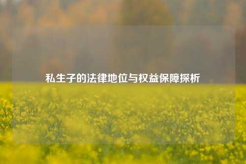 私生子的法律地位与权益保障探析